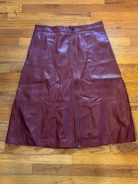 Sweet Baby Jane Wine Faux Leather A-Line Skirt with Front Zip